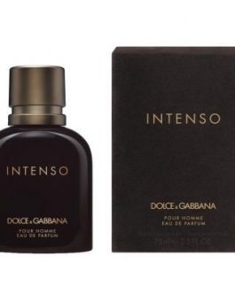 Dolce & Gabbana Intenso pour homme