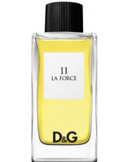 Dolce & Gabbana Collection 11-La Force